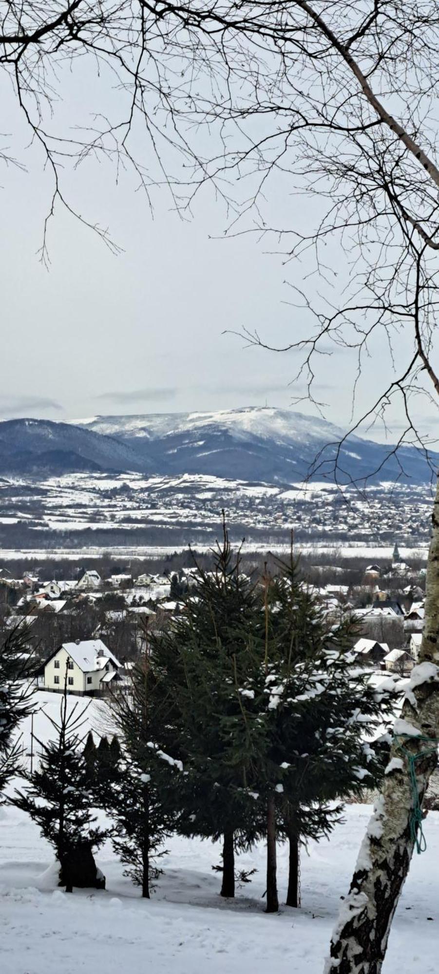 Swierkowy Zakatek U Bacy Wieprz  Exterior photo