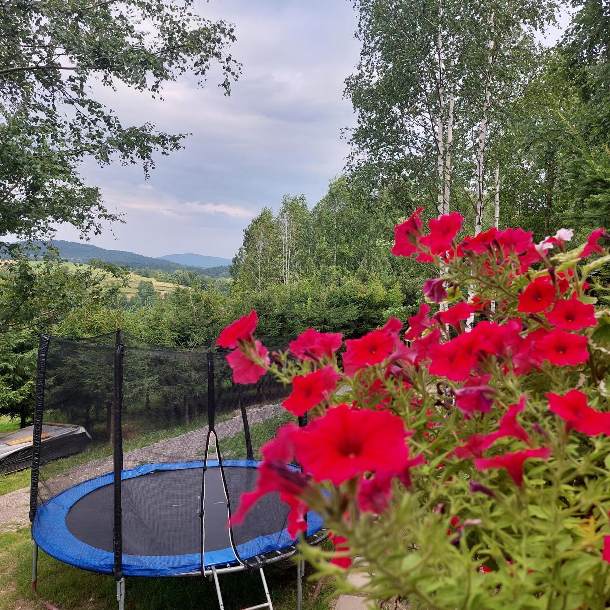 Swierkowy Zakatek U Bacy Wieprz  Exterior photo