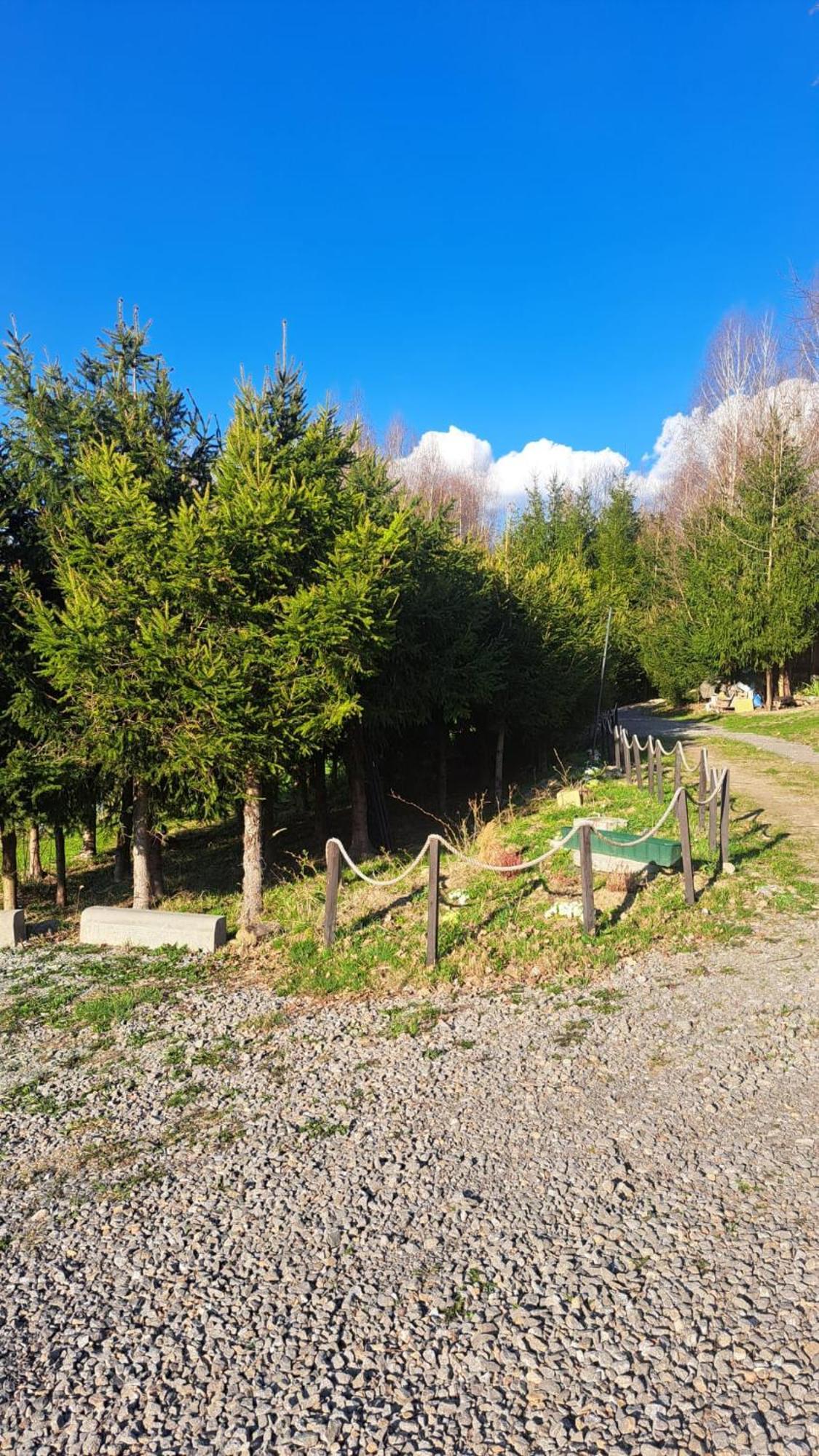 Swierkowy Zakatek U Bacy Wieprz  Exterior photo